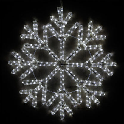 Wintergreen Lighting 24-inch 40-point cool white LED snowflake motif with 380 steady lights and intricate branching design on black background.