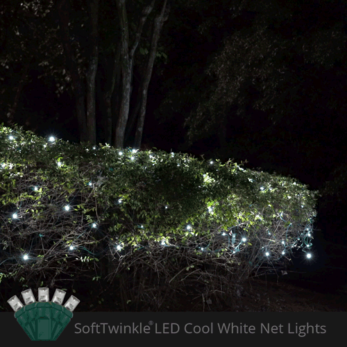 cool White 70 LED 5mm SoftTwinkle Christmas net lights on green wire