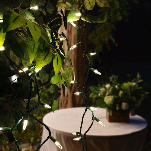 70 LED M5 warm white Christmas string lights on green wire