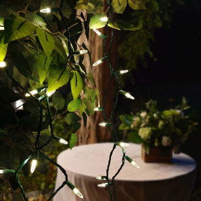 70 LED M5 warm white Christmas string lights on green wire