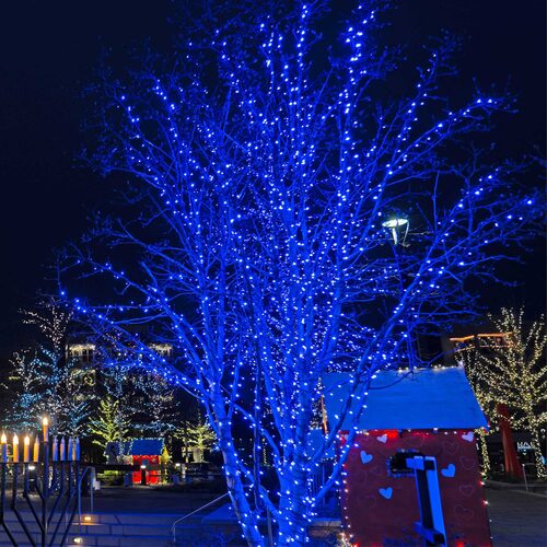 blue 5mm wide angle LED Christmas lights displayed [on a tree / outdoors / on a porch / etc.]