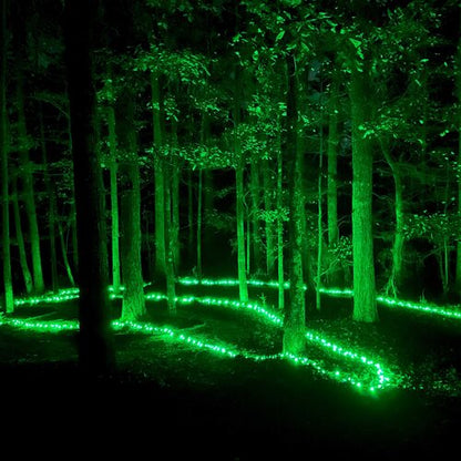 green 5mm wide angle LED Christmas lights displayed [on a tree / outdoors / on a porch / etc.]