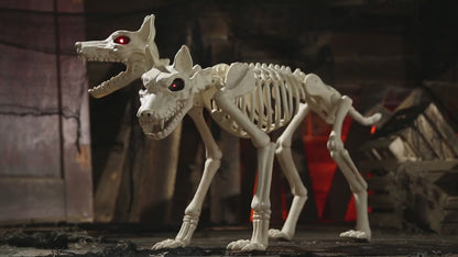 37" Two Headed Doberman Dog Skeleton Animated