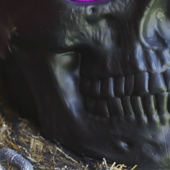 20" Black Skull Blow Mold with Purple Eyes Lighted Halloween decor