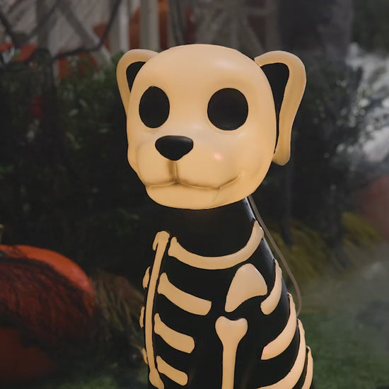 24" Light-Up Skeleton Dog Blow Mold