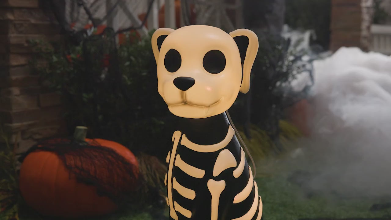 24" Light-Up Skeleton Dog Blow Mold