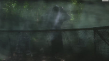 5 Ft 8 in Graveyard Reaper with Animated Wings