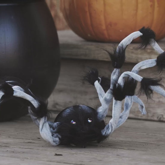 31" Animated Walking Hairy Spider