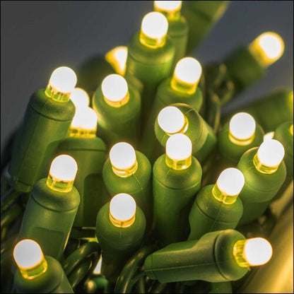 Lux360 D5 warm white LED Christmas string lights with 360-degree illumination