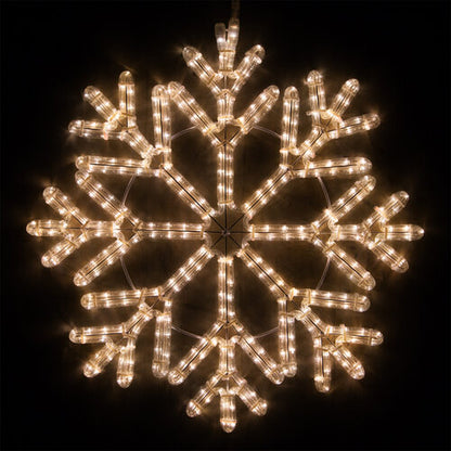 Wintergreen Lighting 24-inch 40-point warm white LED snowflake motif with 380 steady lights and intricate branching design on a black background.