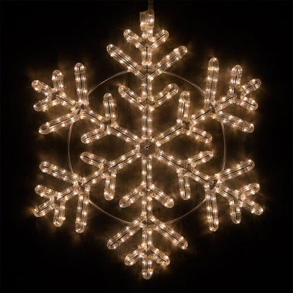 Wintergreen Lighting 24-inch 42-point warm white LED snowflake with 314 steady lights, six branching arms and a circular metal frame.