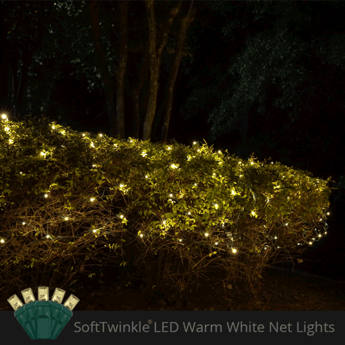 Warm White 70 LED 5mm SoftTwinkle Christmas net lights on green wire