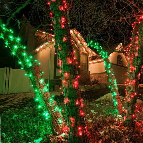 red 5mm wide angle LED Christmas lights displayed [on a tree / outdoors / on a porch / etc.]