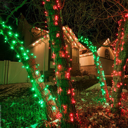 red 5mm wide angle LED Christmas lights displayed [on a tree / outdoors / on a porch / etc.]