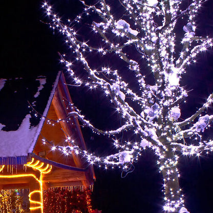 cool white 5mm wide angle LED Christmas lights displayed [on a tree / outdoors / on a porch / etc.]