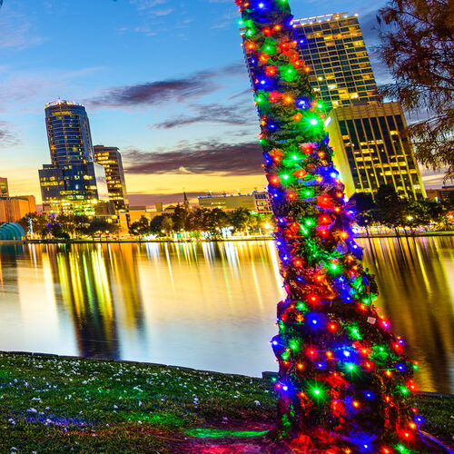 multi color 5mm wide angle LED Christmas lights displayed [on a tree / outdoors / on a porch / etc.]