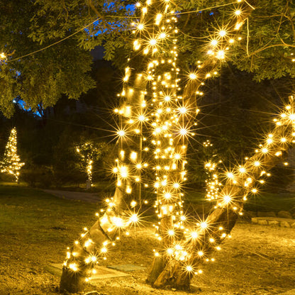 warm white 5mm wide angle LED Christmas lights displayed [on a tree / outdoors / on a porch / etc.]